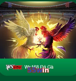 55win